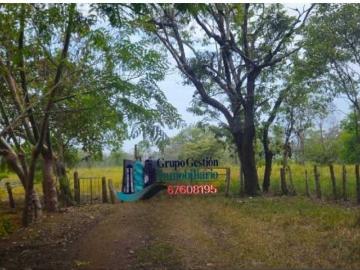 Cortijo de alto standing de 1380000 m2 en venta David, Provincia de Chiriquí