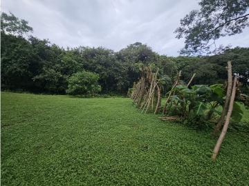 Cortijo de alto standing de 15000 m2 en venta Penonomé, Panamá