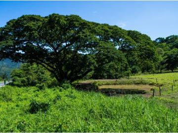 Cortijo de alto standing de 1690000 m2 en venta La Dorada, Departamento de Caldas