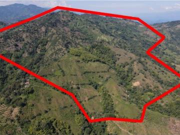 Cortijo de alto standing de 1600000 m2 en venta Viterbo, Colombia