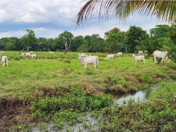 Cortijo de alto standing de 1600000 m2 en venta Gariché, Panamá
