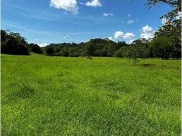 Cortijo de alto standing de 1760000 m2 en venta La Dorada, Colombia