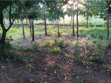 Cortijo de alto standing de 170000 m2 en venta Arjona, Departamento de Bolívar