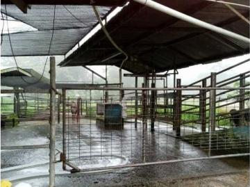Cortijo de alto standing de 1700 m2 en venta Boquerón, Provincia de Colón 130652 LuxuryEstate. Com
