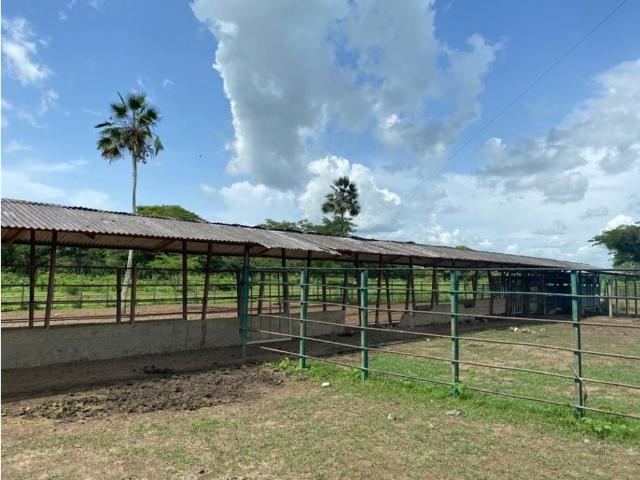 Cortijo de alto standing de 17030000 m2 en venta El Regalo, Estado Barinas
