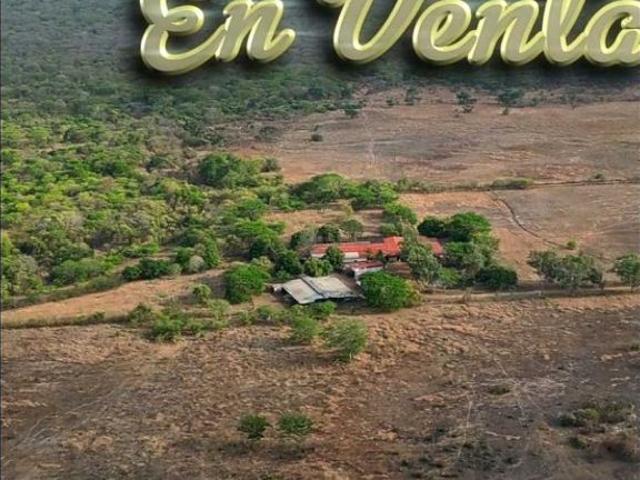 Cortijo de alto standing de 17380000 m2 en venta Calabozo, Venezuela