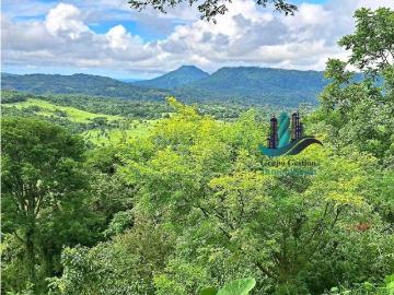 Cortijo de alto standing de 1800000 m2 en venta Gualaca, Provincia de Chiriquí