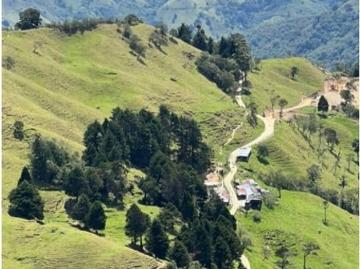 Cortijo de alto standing de 1900000 m2 en venta Calarcá, Quindío Department