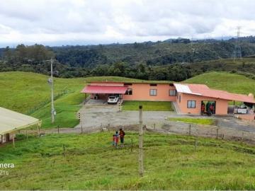 Cortijo de alto standing de 192000 m2 en venta Armenia, Colombia