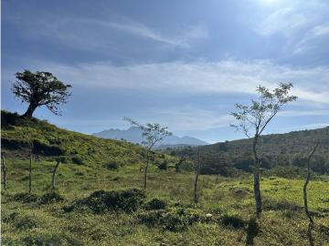 Cortijo de alto standing de 2200000 m2 en venta Bugaba, Provincia de Chiriquí