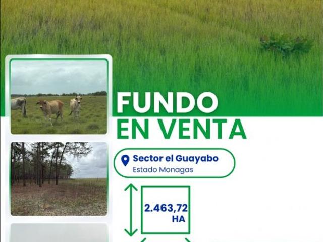 Cortijo de alto standing de 24640000 m2 en venta Maturín, Estado Monagas