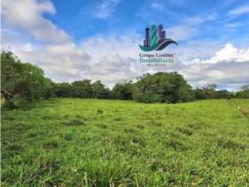 Cortijo de alto standing de 2496 m2 en venta Río Sereno, Panamá 130652 LuxuryEstate. Com
