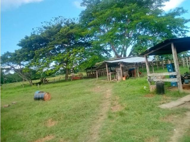 Cortijo de alto standing de 2560000 m2 en venta Guanarito, Venezuela