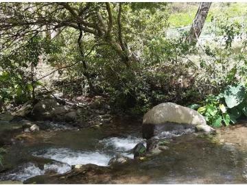 Cortijo de alto standing de 250000 m2 en venta Boquete, Provincia de Chiriquí