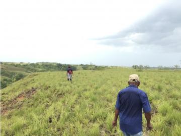 Cortijo de alto standing de 260000 m2 en venta Río Hato, Panamá