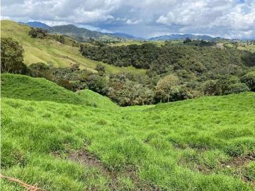 Cortijo de alto standing de 270000 m2 en venta La Unión, Departamento de Antioquia