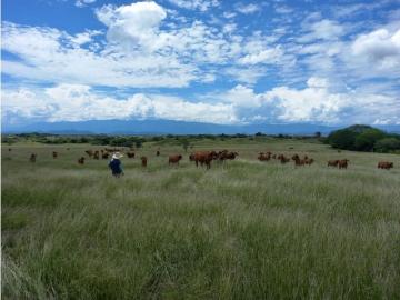 Cortijo de alto standing de 2720000 m2 en venta Saldaña, Colombia