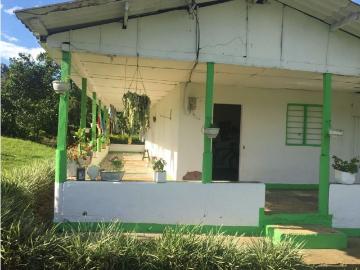 Cortijo de alto standing de 300000 m2 en venta Caicedonia, Colombia