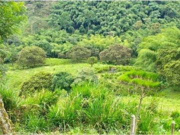 Cortijo de alto standing de 300800 m2 en venta Pereira, Departamento de Risaralda