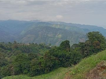 Cortijo de alto standing de 320000 m2 en venta Génova, Colombia