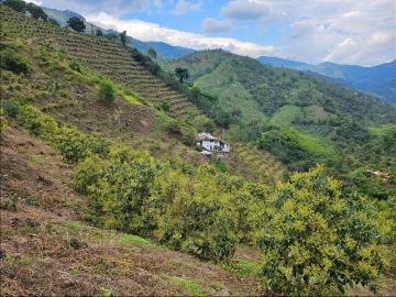 Cortijo de alto standing de 320000 m2 en venta Génova, Departamento del Magdalena