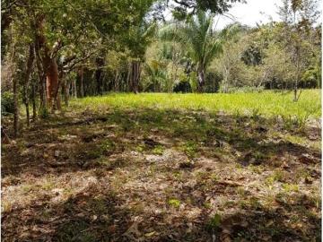 Cortijo de alto standing de 330000 m2 en venta Penonomé, Panamá