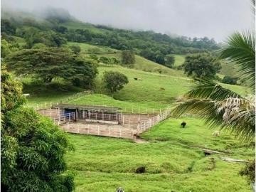 Cortijo de alto standing de 3328000 m2 en venta Viterbo, Colombia