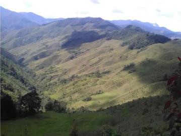 Cortijo de alto standing de 3456000 m2 en venta Urrao, Departamento de Antioquia