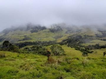 Cortijo de alto standing de 3710000 m2 en venta Manizales, Colombia