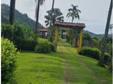 Cortijo de alto standing de 38400 m2 en venta Pereira, Departamento de Risaralda