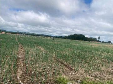 Cortijo de alto standing de 40000 m2 en venta Volcán, Provincia de Chiriquí