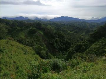 Cortijo de alto standing de 480000 m2 en venta Boquete, Panamá
