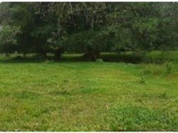 Cortijo de alto standing de 48000 m2 en venta Bugaba, Panamá
