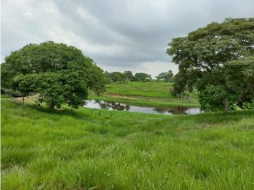 Cortijo de alto standing de 5500000 m2 en venta San Onofre, Colombia