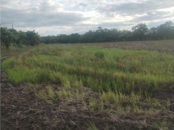 Cortijo de alto standing de 550000 m2 en venta Penonomé, Panamá