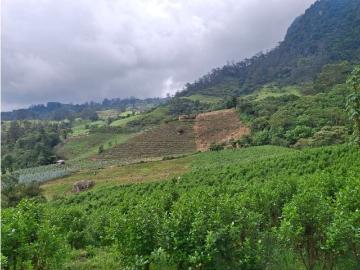 Cortijo de alto standing de 60000 m2 en venta Bojacá, Cundinamarca