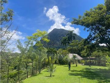 Cortijo de alto standing de 60000 m2 en venta Venecia, Departamento de Antioquia