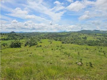 Cortijo de alto standing de 60 m2 en venta Capira, Panamá Oeste 130106 LuxuryEstate. Com