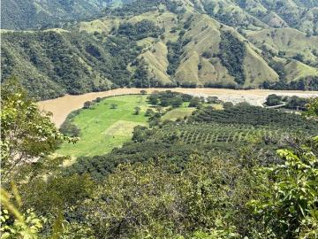 Cortijo de alto standing de 627200 m2 en venta Betulia, Colombia