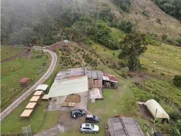 Cortijo de alto standing de 652800 m2 en venta Támesis, Colombia