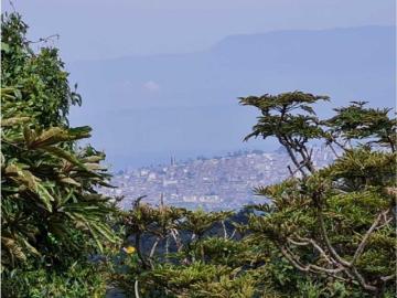 Cortijo de alto standing de 668000 m2 en venta Manizales, Colombia