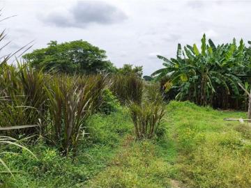 Cortijo de alto standing de 75000 m2 en venta Sampués, Colombia