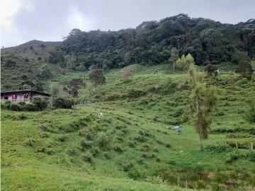 Cortijo de alto standing de 768000 m2 en venta Génova, Departamento del Magdalena