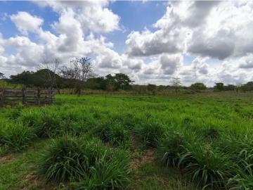 Cortijo de alto standing de 770000 m2 en venta Nueva Granada, Colombia