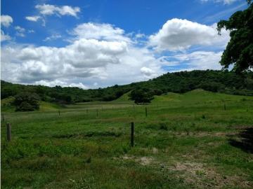 Cortijo de alto standing de 8000000 m2 en venta Guayabal, Departamento de Tolima