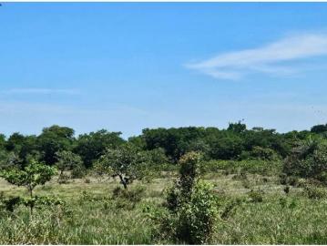 Cortijo de alto standing de 82000 m2 en venta Dolega District, Provincia de Chiriquí