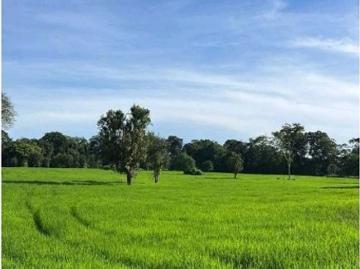 Cortijo de alto standing de 830000 m2 en venta Bugaba, Provincia de Chiriquí