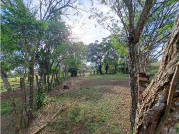 Cortijo de alto standing de 85000 m2 en venta Dolega District, Provincia de Chiriquí