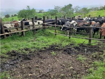Cortijo de alto standing de 870000 m2 en venta Otavalo, Ecuador