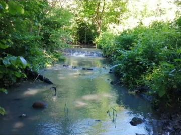 Cortijo de alto standing de 880000 m2 en venta Capira, Panamá